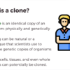 Cloning - Image 3